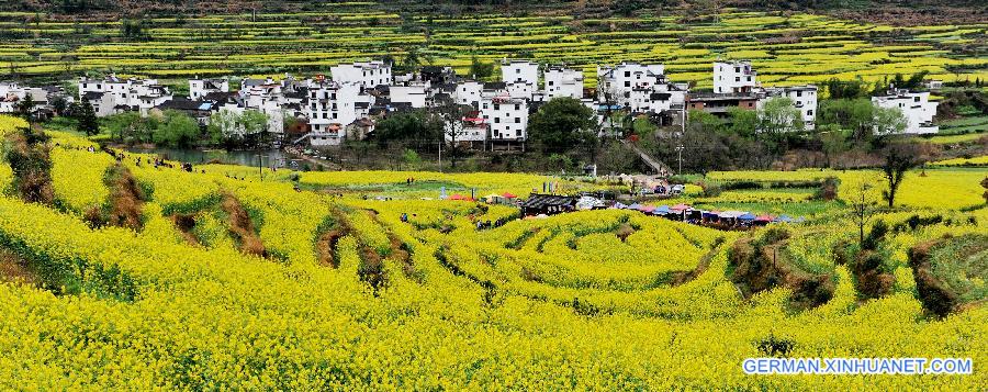 #CHINA-JIANGXI-WUYUAN-RAPE FLOWERS (CN)