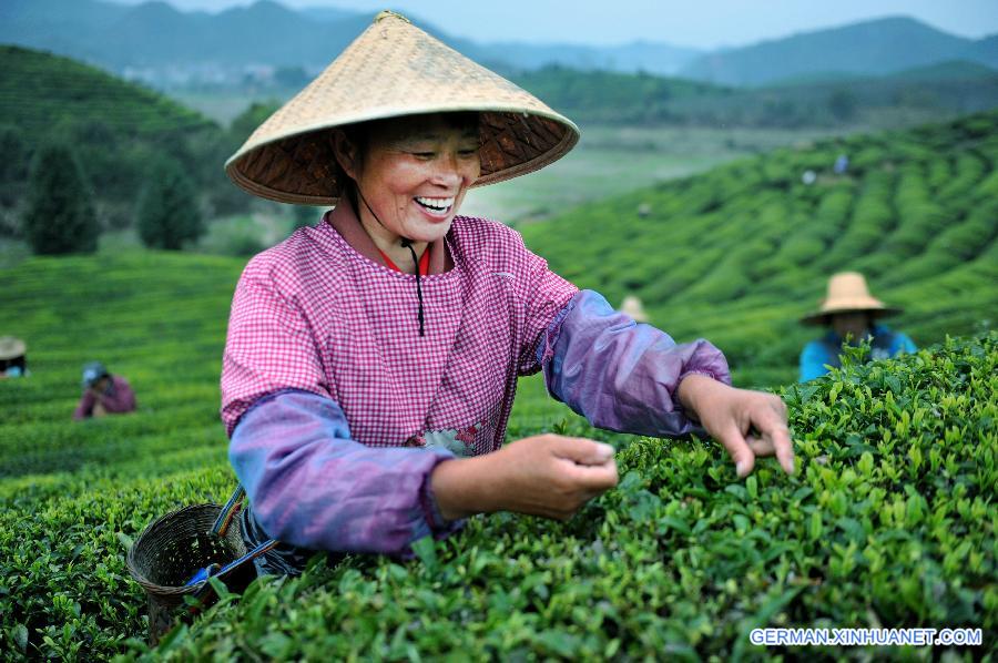 #CHINA-JIANGXI-SHANGRAO-TEA (CN)