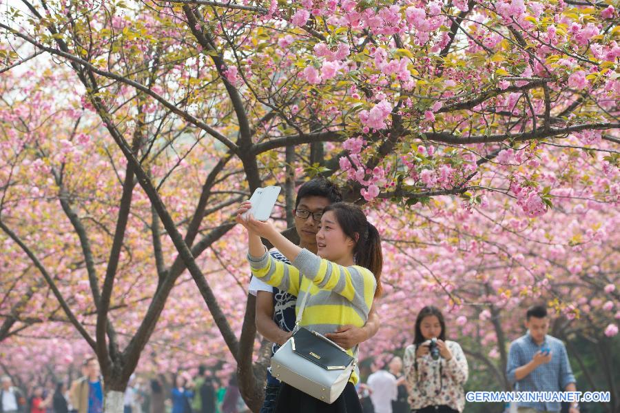 CHINA-HEFEI-CHERRY BLOSSOM (CN)