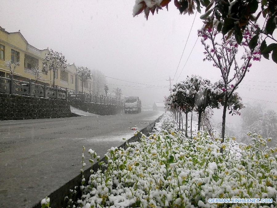 #CHINA-HUBEI-BAOKANG-SNOWFALL(CN)