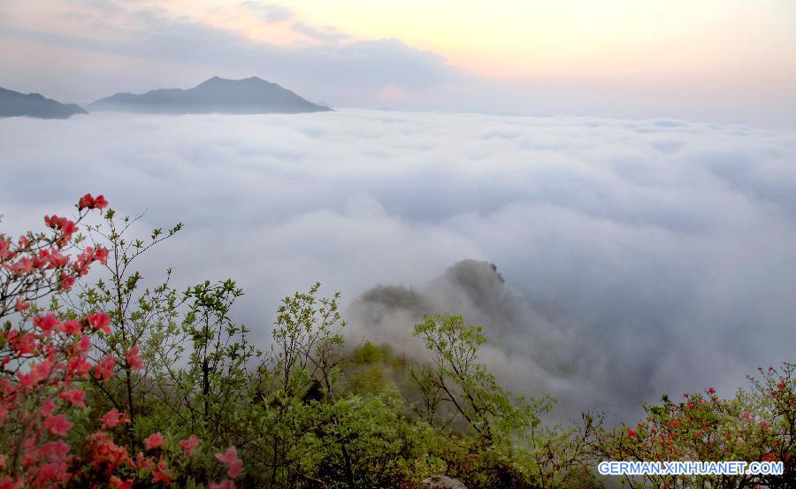 CHINA-ANHUI-WUJI MOUNTAIN-SCENERY (CN)