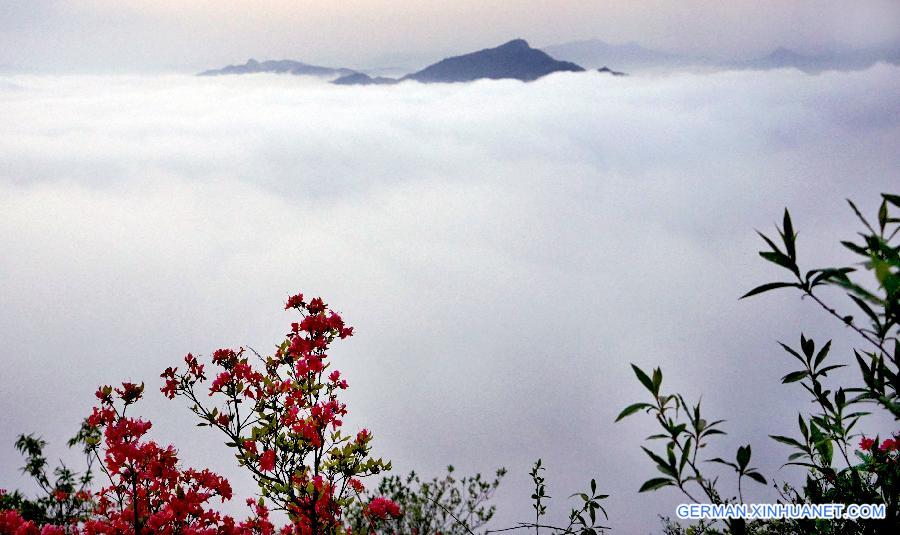 CHINA-ANHUI-WUJI MOUNTAIN-SCENERY (CN)