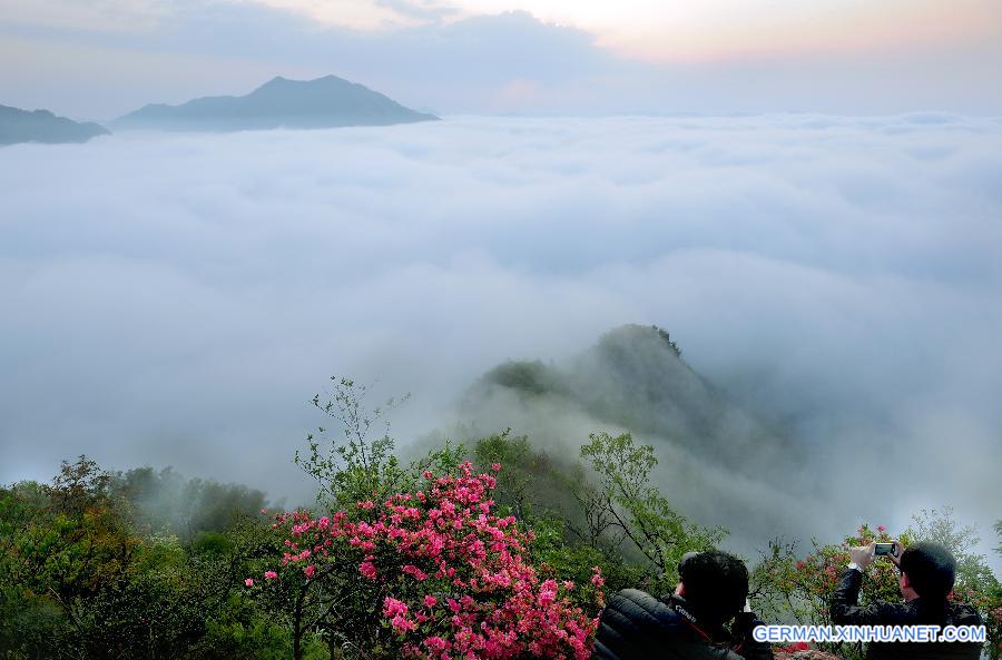 CHINA-ANHUI-WUJI MOUNTAIN-SCENERY (CN)