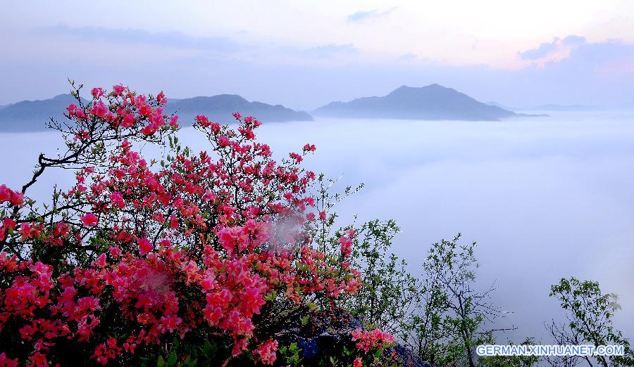 CHINA-ANHUI-WUJI MOUNTAIN-SCENERY (CN)