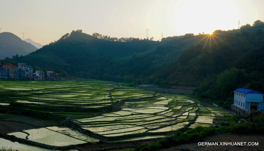 #CHINA-GUANGXI-BAISE-FARMLAND-SCENERY (CN)