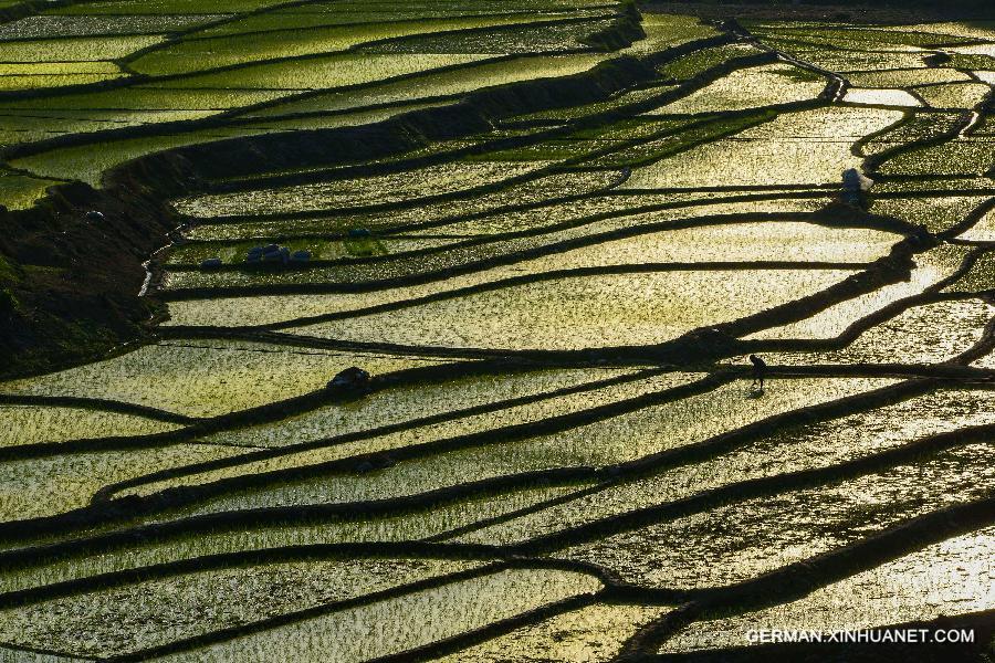 #CHINA-GUANGXI-BAISE-FARMLAND-SCENERY (CN)