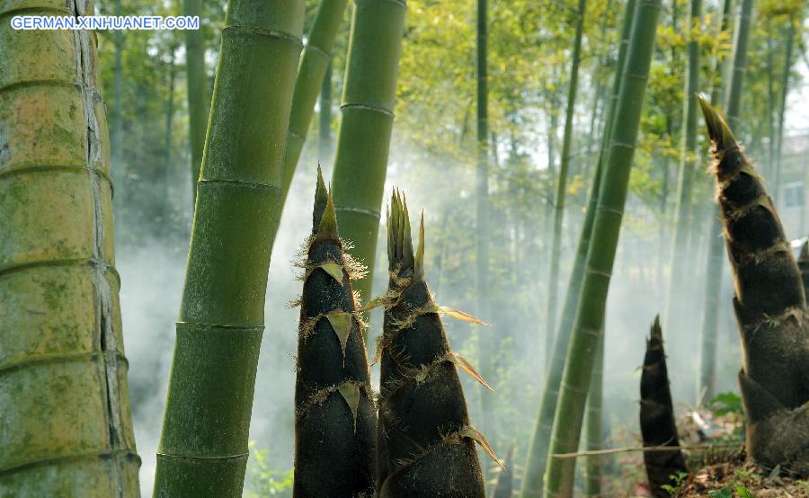 CHINA-ANHUI-WANFO LAKE-SCENERY (CN)