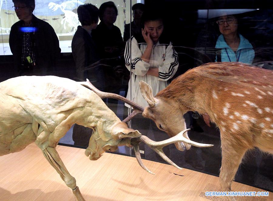 CHINA-SHANGHAI-NATURAL HISTORY MUSEUM-OPEN (CN)