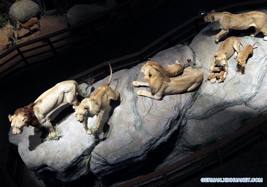 CHINA-SHANGHAI-NATURAL HISTORY MUSEUM-OPEN (CN)