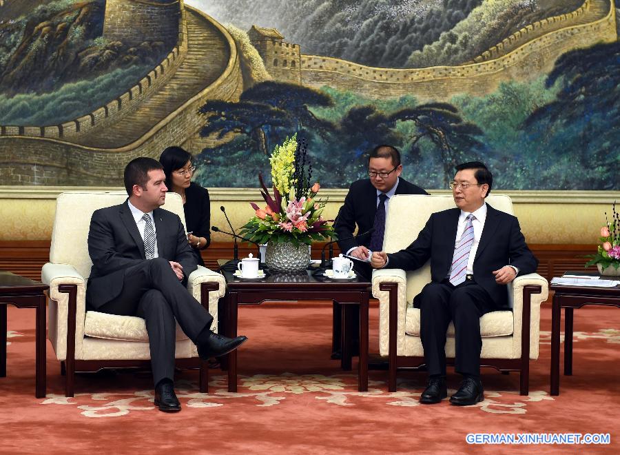 CHINA-BEIJING-ZHANG DEJIANG-CZECH REPUBLIC-HAMACEK-MEETING(CN)