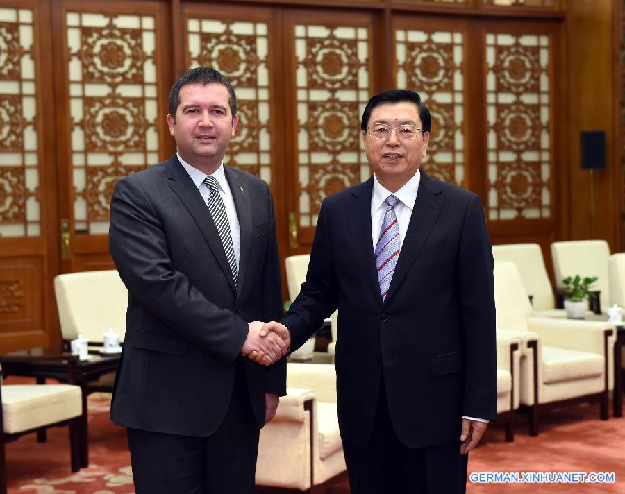 CHINA-BEIJING-ZHANG DEJIANG-CZECH REPUBLIC-HAMACEK-MEETING(CN)