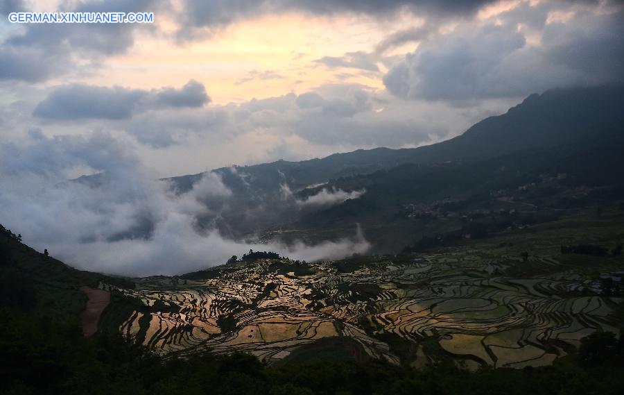 CHINA-YUNNAN-HONGHE-HANI RICE TERRACE-WORLD HERITAGE (CN)