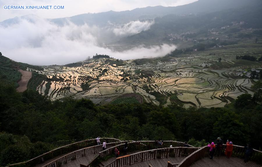 CHINA-YUNNAN-HONGHE-HANI RICE TERRACE-WORLD HERITAGE (CN)