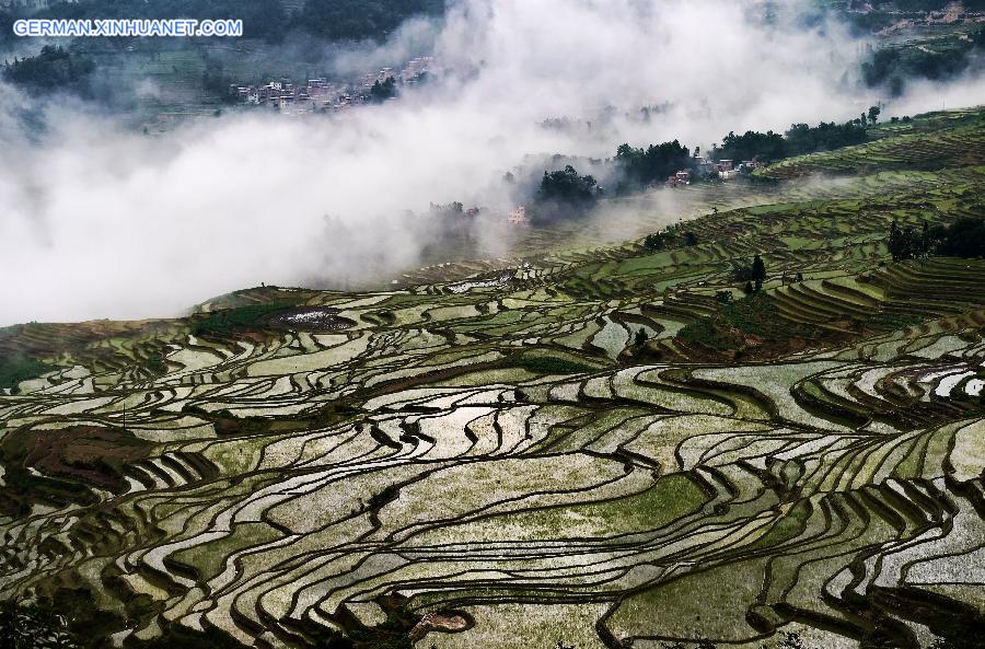 CHINA-YUNNAN-HONGHE-HANI RICE TERRACE-WORLD HERITAGE (CN)