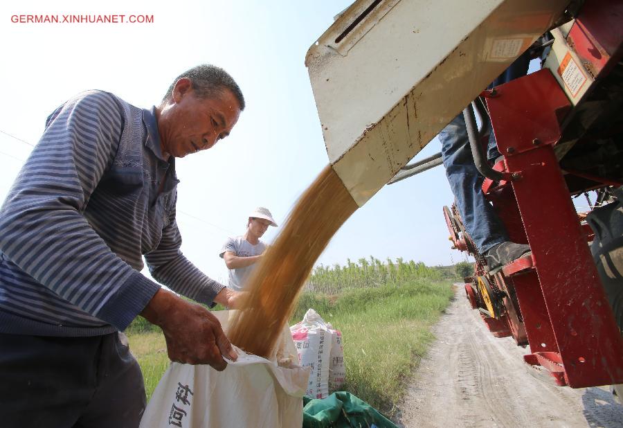 #CHINA-SHANXI-WHEAT HARVEST (CN)