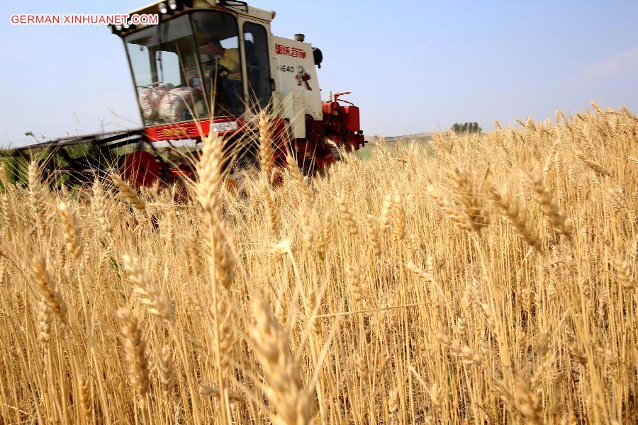 #CHINA-SHANXI-WHEAT HARVEST (CN)