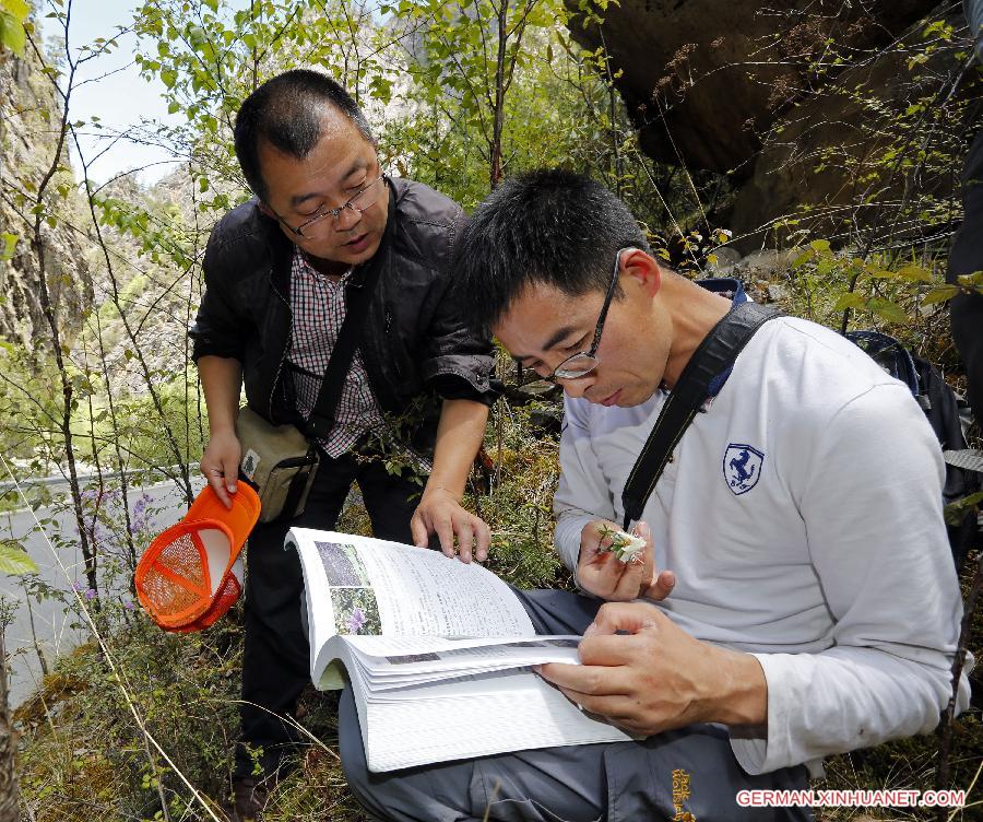 CHINA-SICHUAN-SCIENTIFIC INVESTIGATION FOR AZALEA(CN)