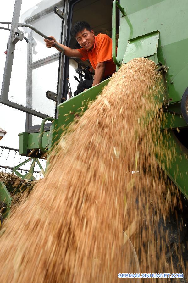 CHINA-HENAN-WHEAT-HARVEST(CN) 