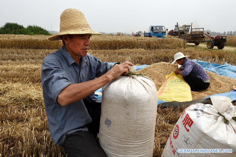 CHINA-HENAN-WHEAT-HARVEST(CN) 