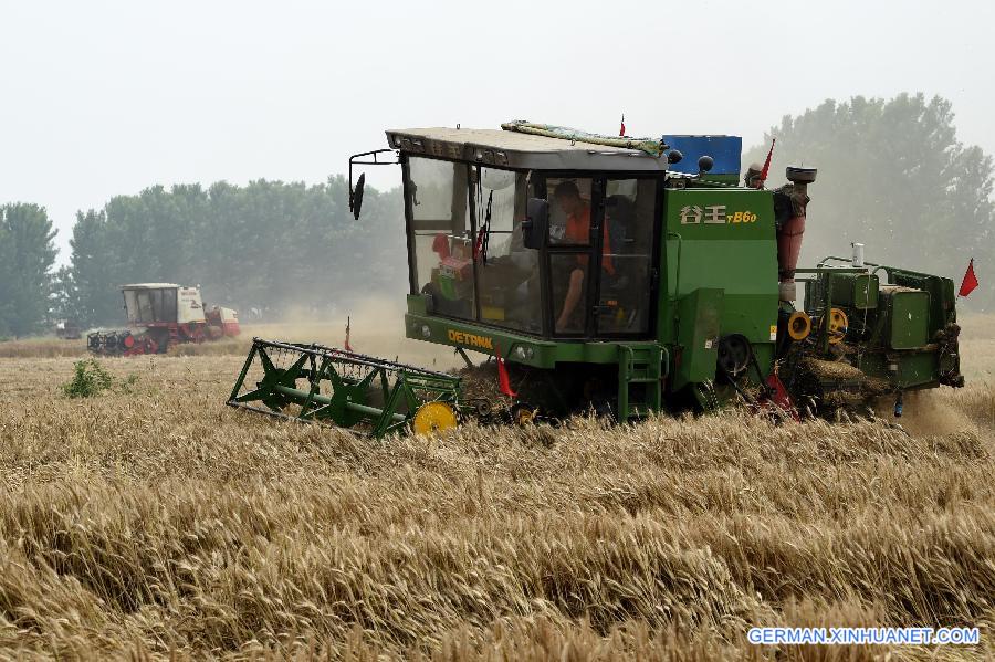 CHINA-HENAN-WHEAT-HARVEST(CN) 