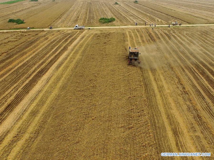 CHINA-HENAN-WHEAT-HARVEST(CN) 