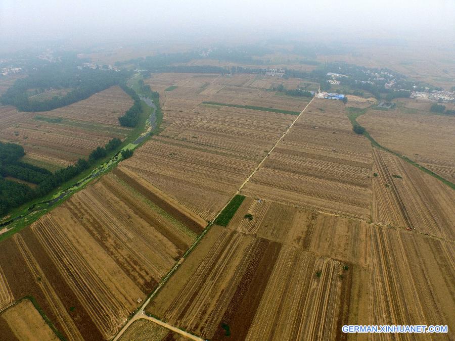 CHINA-HENAN-WHEAT-HARVEST(CN) 