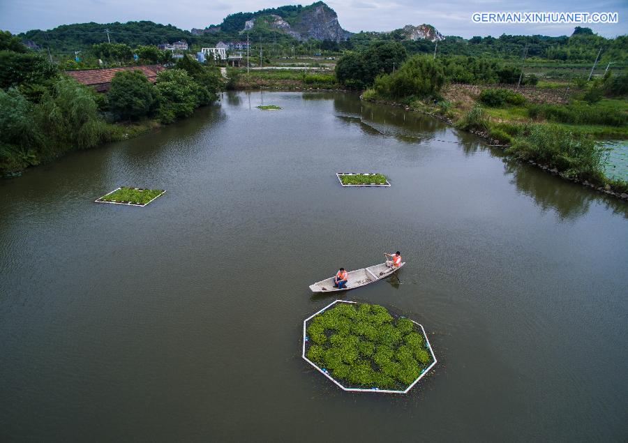 CHINA-ZHEJIANG-DEQING-RURAL SCENERY (CN)