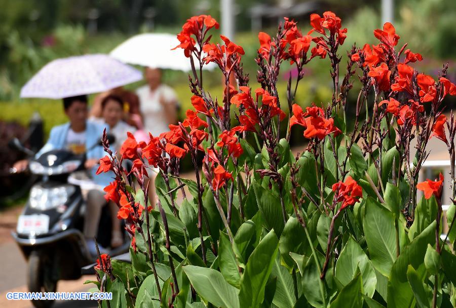 CHINA-YUNNAN-KUNMING-DIANCHI LAKE-LIFE (CN)