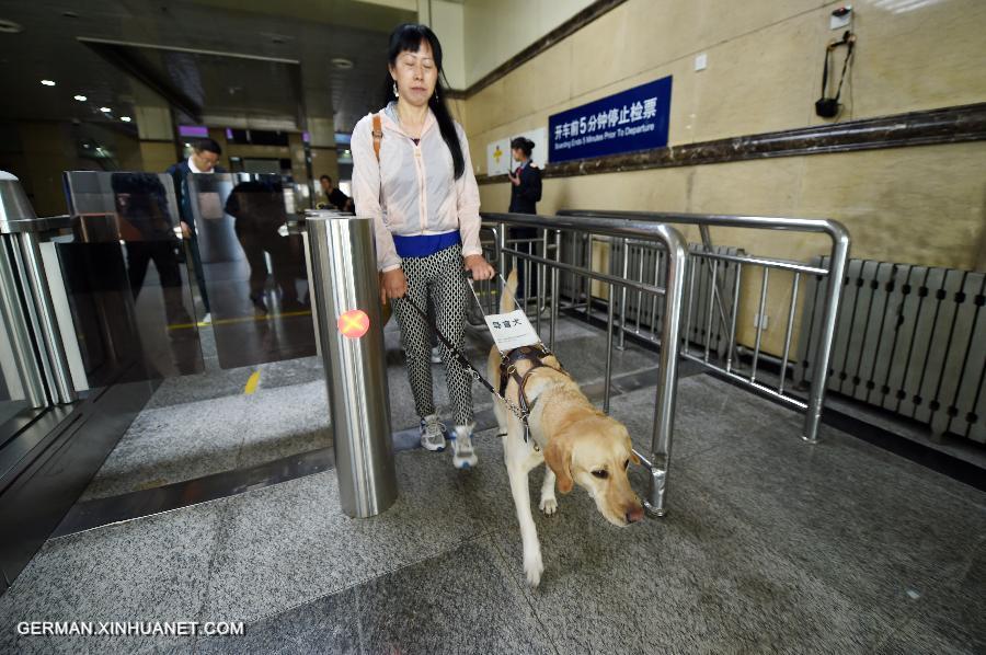 CHINA-GANSU-LANZHOU-GUIDE DOG (CN)