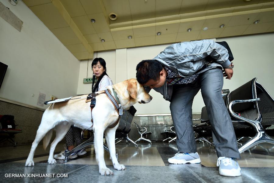 CHINA-GANSU-LANZHOU-GUIDE DOG (CN)