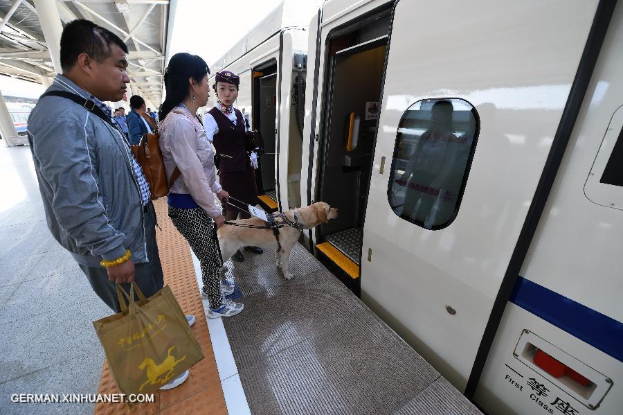 CHINA-GANSU-LANZHOU-GUIDE DOG (CN)