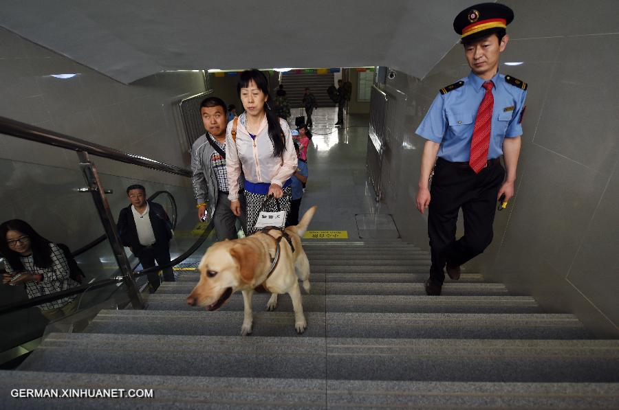 CHINA-GANSU-LANZHOU-GUIDE DOG (CN)