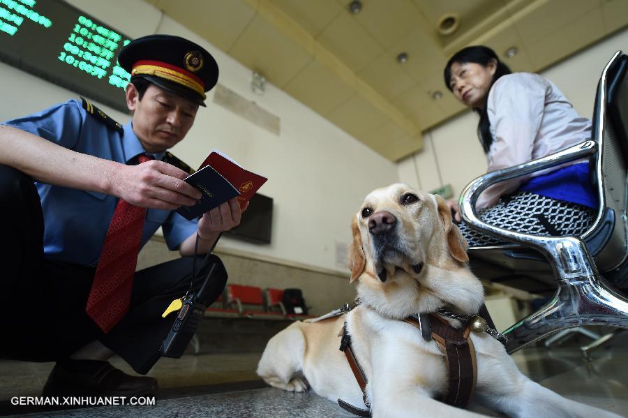 CHINA-GANSU-LANZHOU-GUIDE DOG (CN)