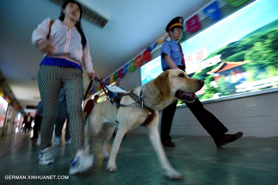 CHINA-GANSU-LANZHOU-GUIDE DOG (CN)