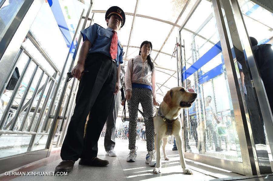 CHINA-GANSU-LANZHOU-GUIDE DOG (CN)