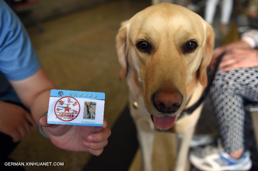 CHINA-GANSU-LANZHOU-GUIDE DOG (CN)