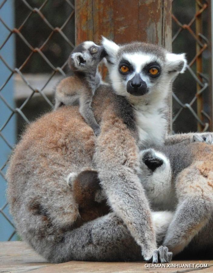 #CHINA-JIANGSU-SUZHOU ZOO-ANIMAL-BABY (CN)