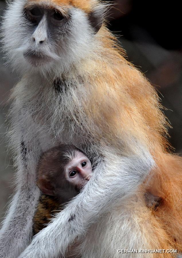 #CHINA-JIANGSU-SUZHOU ZOO-ANIMAL-BABY (CN)