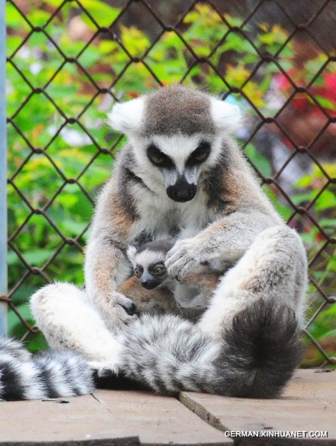 #CHINA-JIANGSU-SUZHOU ZOO-ANIMAL-BABY (CN)