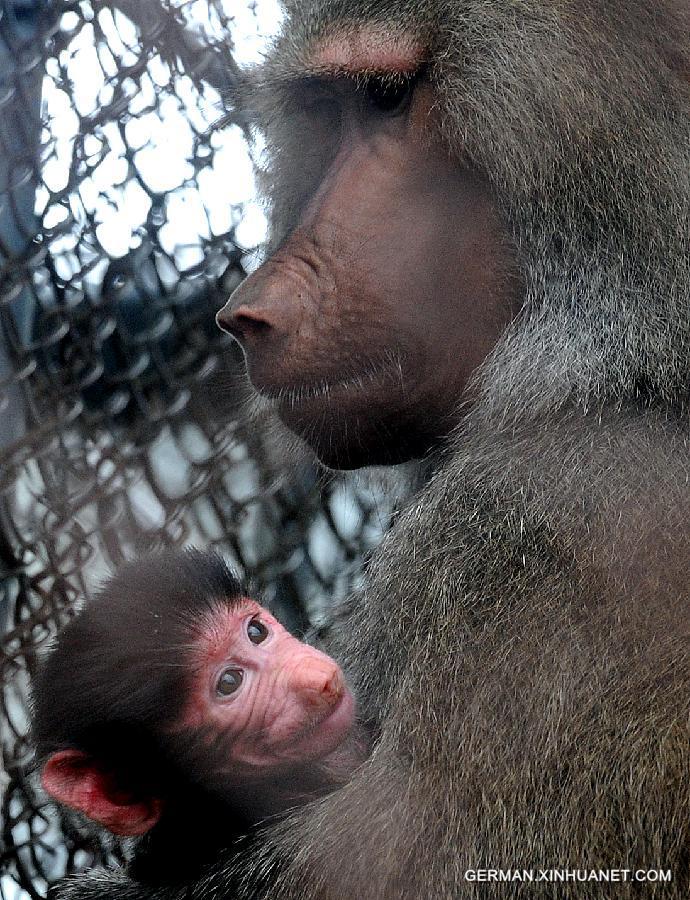 #CHINA-JIANGSU-SUZHOU ZOO-ANIMAL-BABY (CN)