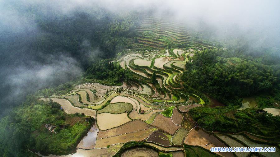 CHINA-ZHEJIANG-AGRICULTURE-TERRACE (CN)