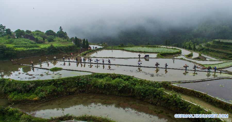 CHINA-ZHEJIANG-AGRICULTURE-TERRACE (CN)