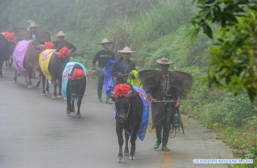 CHINA-ZHEJIANG-AGRICULTURE-TERRACE (CN)