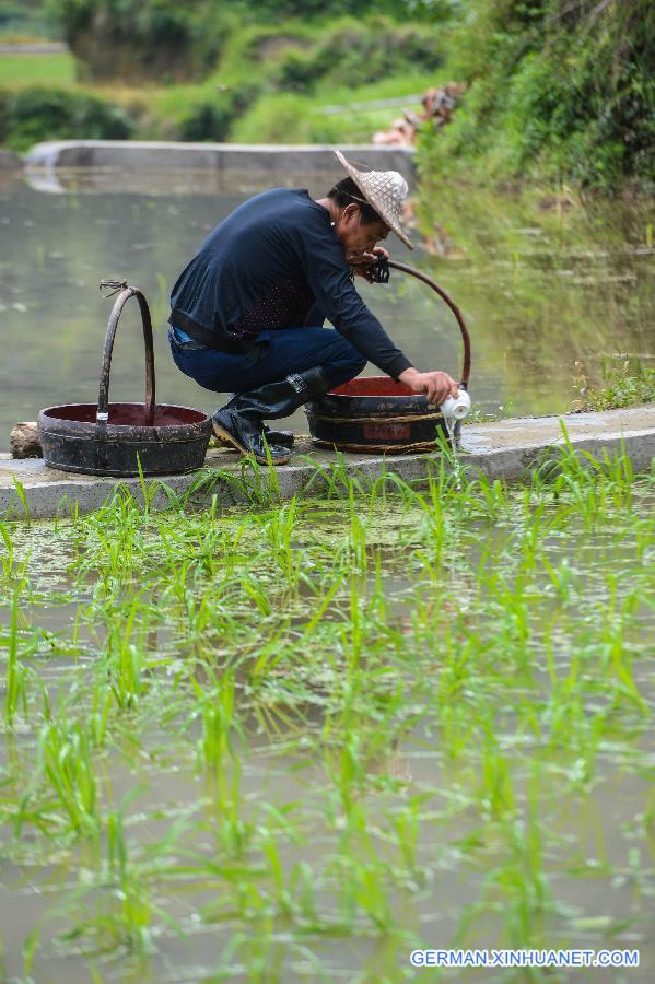 CHINA-ZHEJIANG-AGRICULTURE-TERRACE (CN)