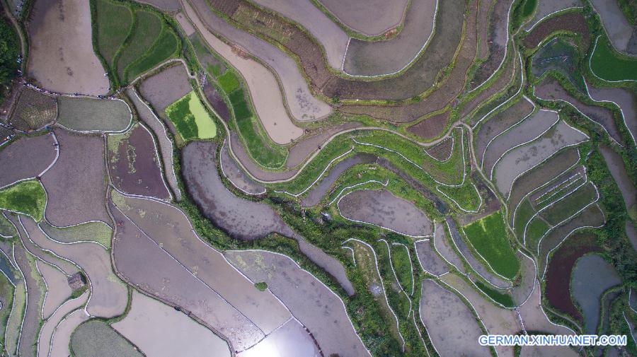 CHINA-ZHEJIANG-AGRICULTURE-TERRACE (CN)