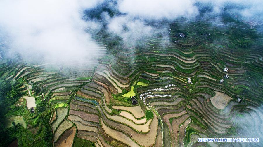 CHINA-ZHEJIANG-AGRICULTURE-TERRACE (CN)