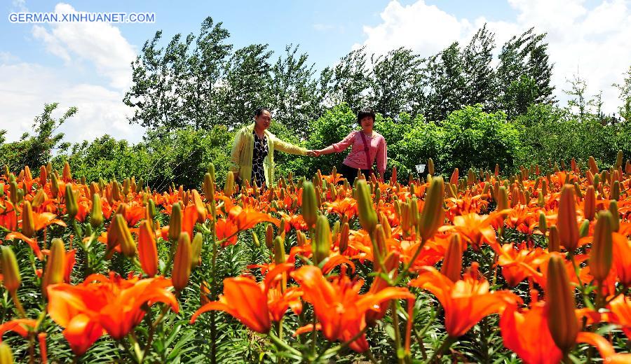 CHINA-BEIJING-LILY FLOWER FESTIVAL(CN)