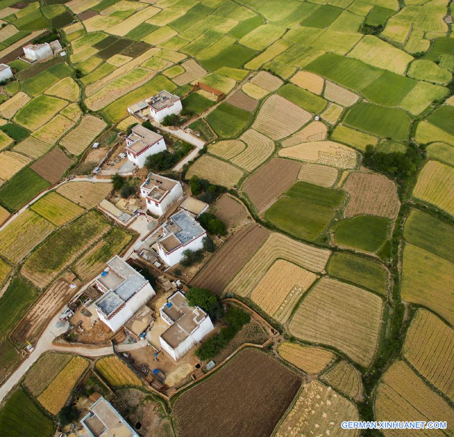 CHINA-SICHUAN-XIANGCHENG-COUNTRYSIDE SCENERY (CN)