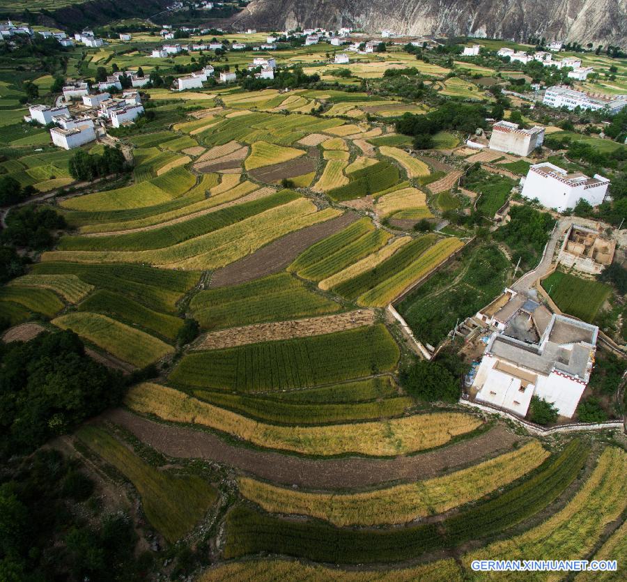 CHINA-SICHUAN-XIANGCHENG-COUNTRYSIDE SCENERY (CN)