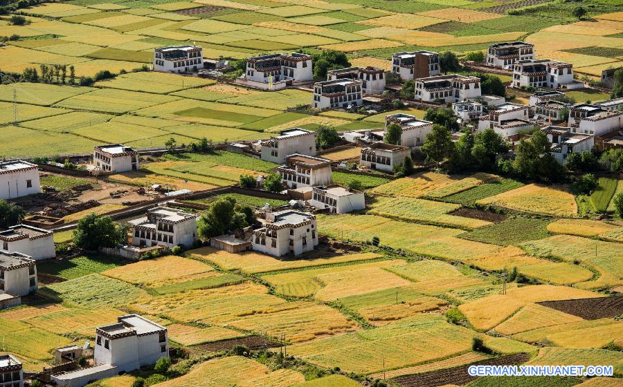 CHINA-SICHUAN-XIANGCHENG-COUNTRYSIDE SCENERY (CN)